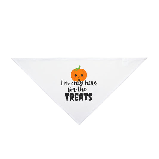 "I'm only here for the treats"Pet Bandana